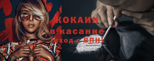 ECSTASY Бородино