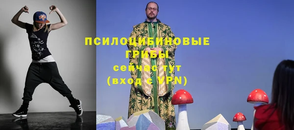 гидропоника Богданович