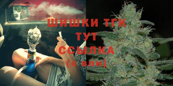 МДПВ Богородск