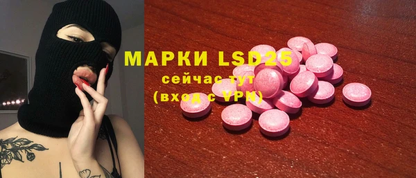 ECSTASY Бородино